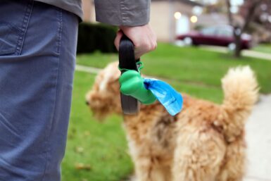 Je ramasse les déjections de mon chien