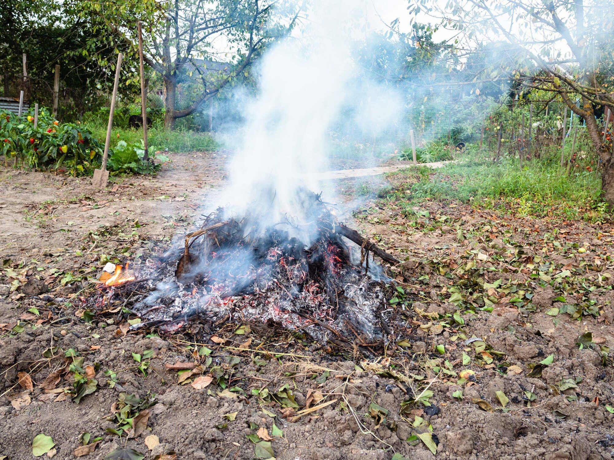 Je ne brûle pas mes déchets végétaux